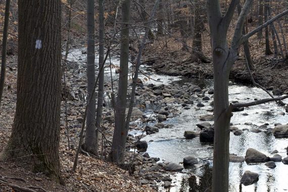 Rahway Trail hugs the river