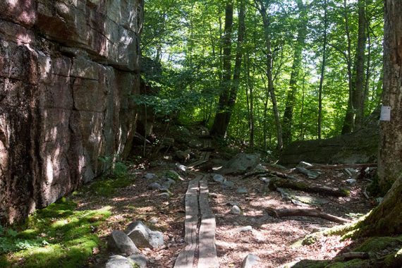 Planks on a trail near the ice caves.