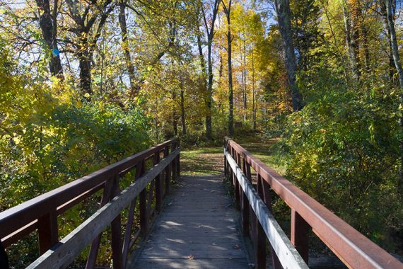 Bridge over the creek.