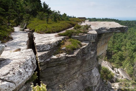 Jagged white cliff edges against a backdrop of green foliage.