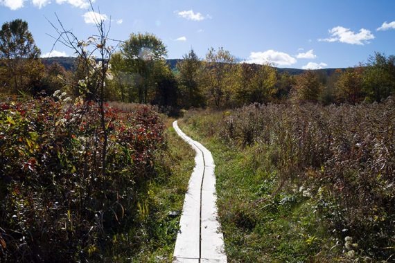 Hike through fields with Wawayanda Mountain coming in view.