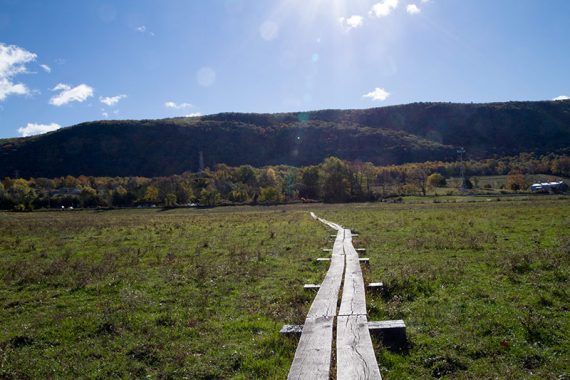 Cross a pasture on wooden planking.