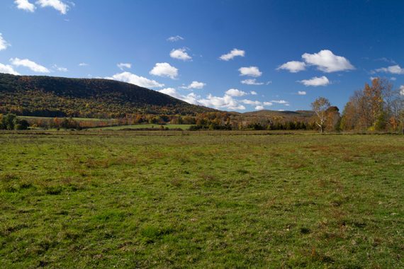 Farm field