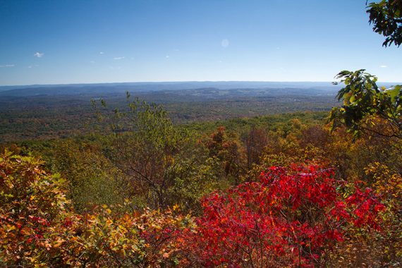 View over New Jersey with bright red foliage.