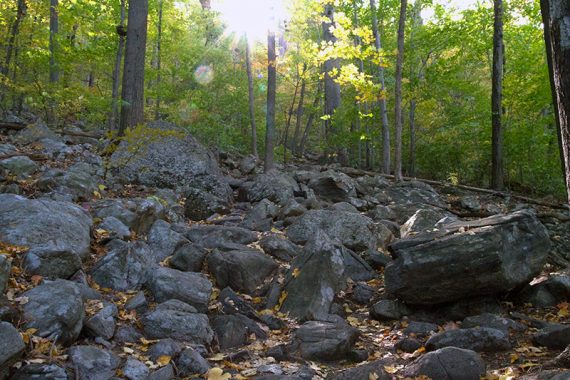Rocky Appalachian Trail on the way to Stairway to Heaven.