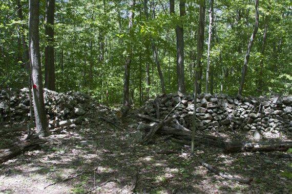 Stone fence on the RED trail