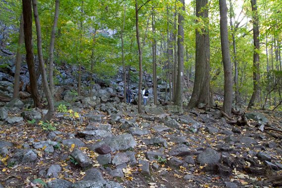 Rocky trail through a forest.