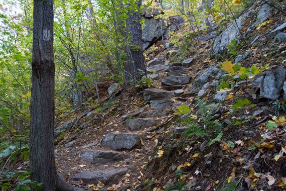 Rock steps of Stairway to Heaven in New Jersey.