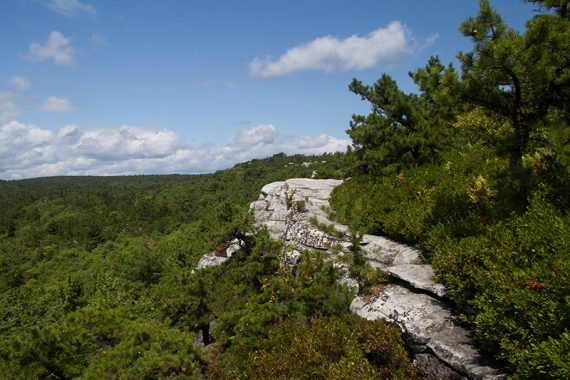 White cliff seen among green trees.