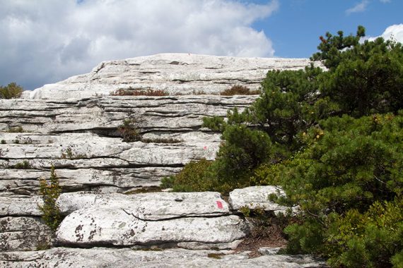 Tall white rock face with red trail marker on it.