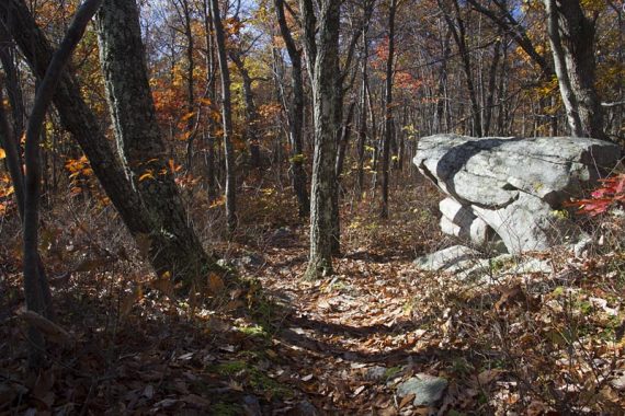 Large rock along a trail.