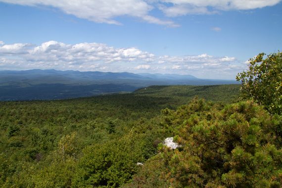 Mountains seen in the distance with green trees in the foreground.