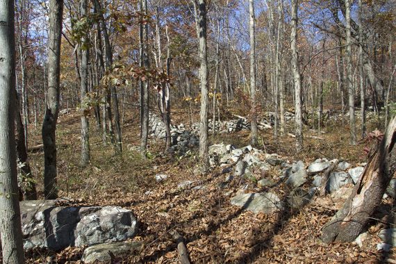 Stone walls through a forest.