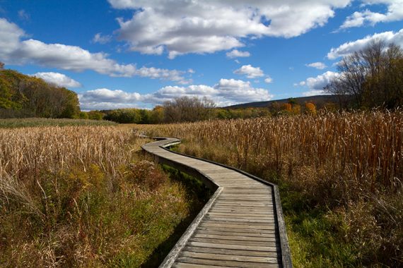 Boardwalk through Pochuck Valley