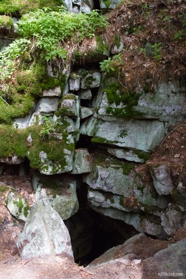 Side trail to a cave with very cold air wafting out of it.