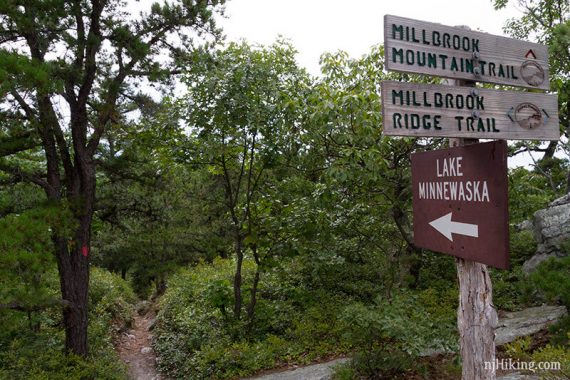 Millbrook and Minnewaska trail signs.