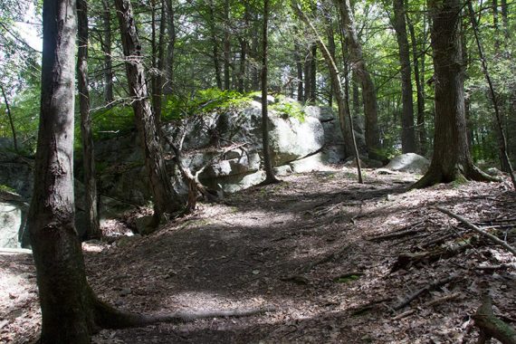 Dirt path near a large rock.