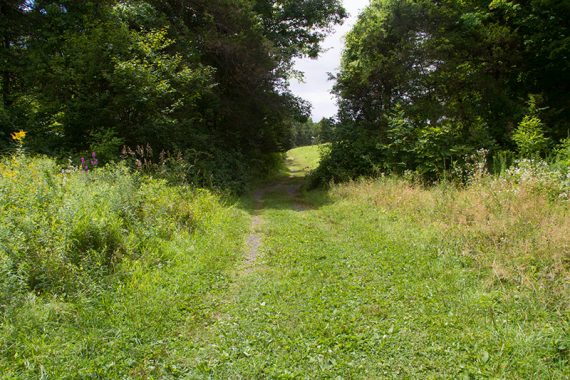 Farm Trail.