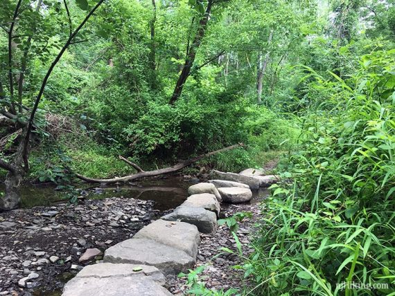 Large stepping stones over a creek