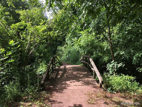 Wide bridge with green foliage around