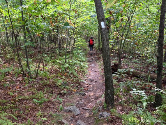 Hiker passing a white Appalachian Trail blaze on a tree.