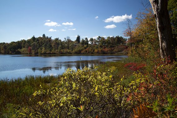 Lake Marcia.