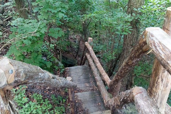 Looking down a steep wood stairs on the Bruin Path.
