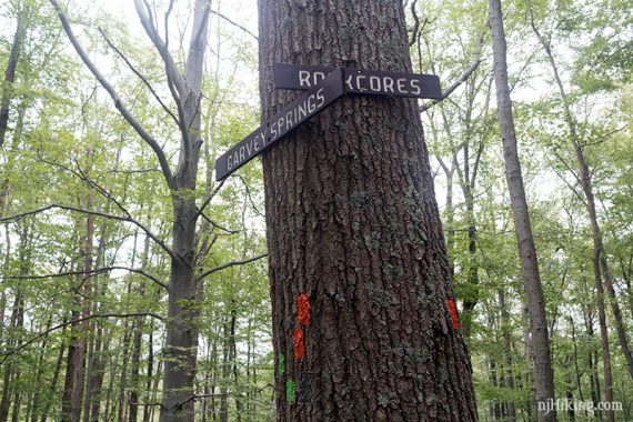 Trail sign at the intersection of Garvey Springs and Rock Cores.