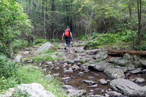 Hiker crossing a stream by walking on rocks on the Appalachian Trail.