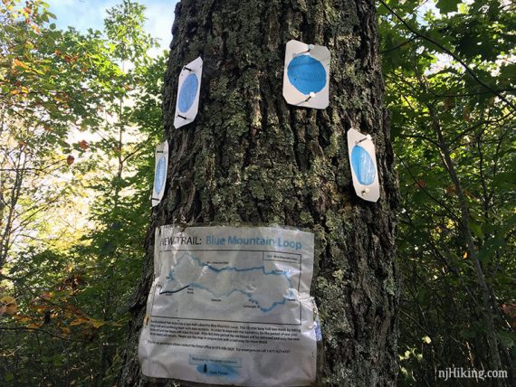 Blue dot on white rectangle markers on a tree with a sign for the new trail.