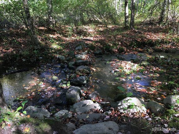 A shallow stream with large rocks placed in a row to cross it.