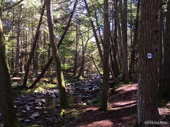 Trail at the edge of a rock filled stream.