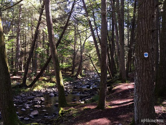 Trail at the edge of a rock filled stream