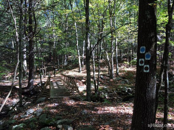 Old trail blazes under the new Blue Mtn ones.