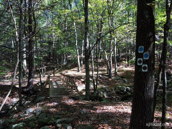 Old trail blazes under the new Blue Mtn ones