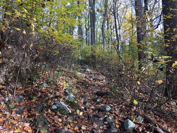 Narrow rocky trail.