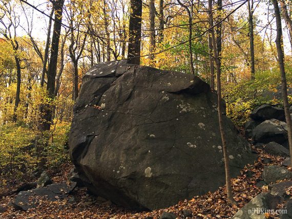 Trail thru Devil's Half Acre Boulders.