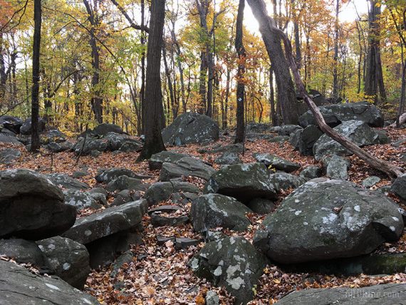 Large rocks on trail.