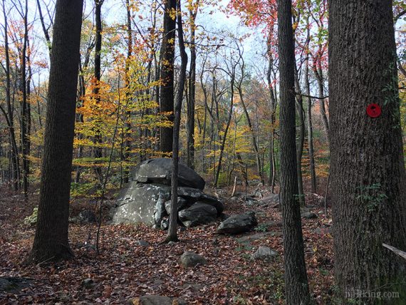 Roaring Brook Trail