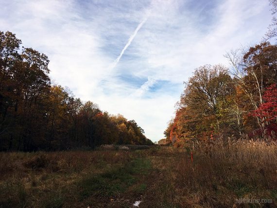 Trail along along a pipeline cut.