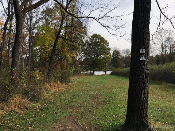 Approaching a pond near the parking lot.