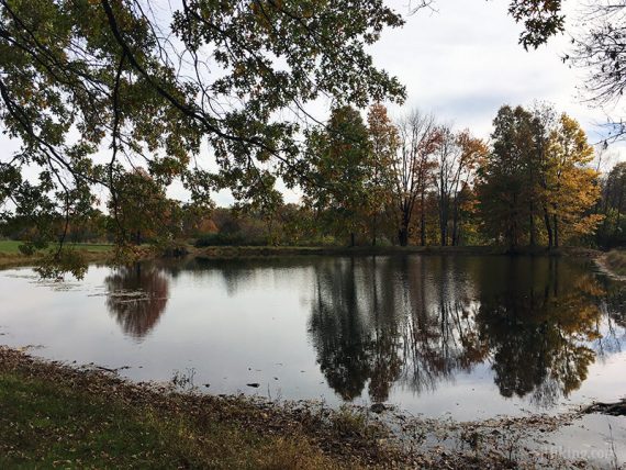 Sourland Mountain Pond.