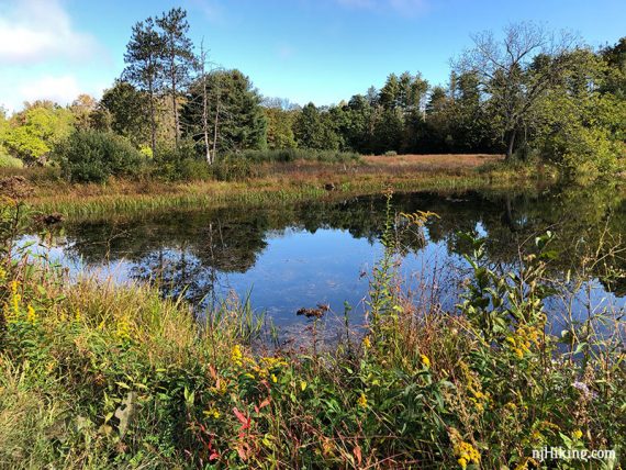 Small manmade pond along a field.