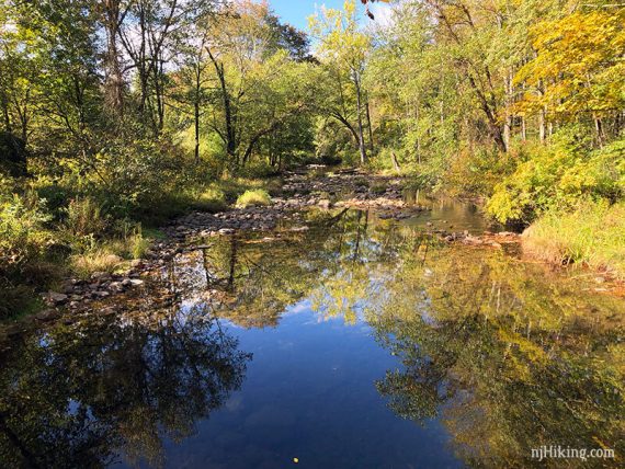 River with low water and surrounded by trees with bright yellow leaves.