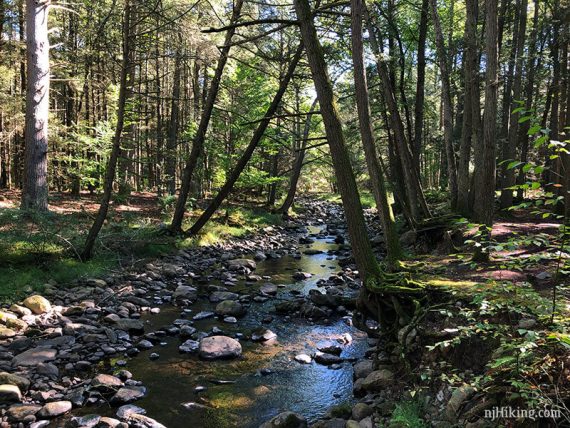A stream filled with rocks and moss-covered banks.