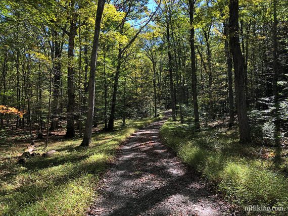 Wide level dirt trail with green grasses on either side.
