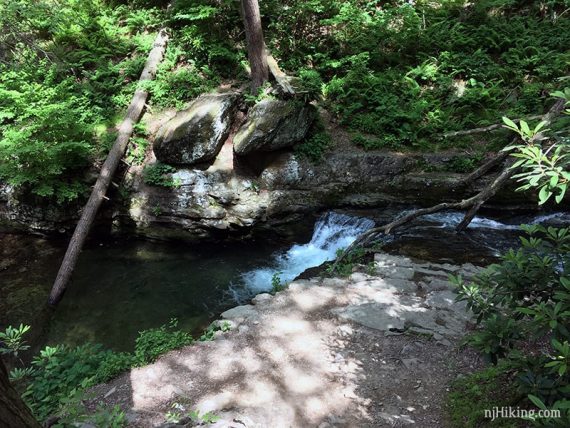 Small waterfall dropping into a shallow pool along Dunnfield Creek.