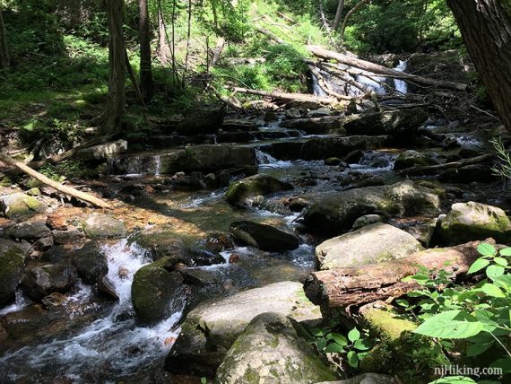 Cascades along Dunnfield Creek.