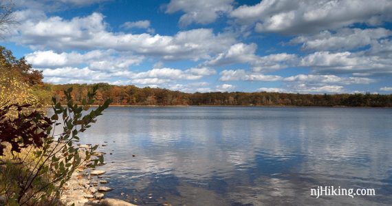 Fluffy white clouds and a blue sky reflected in Lake Rutherford.