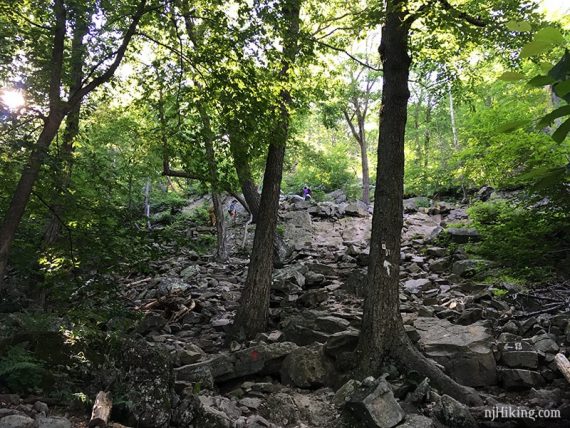 Hikers negotiate a rocky section of RED DOT.